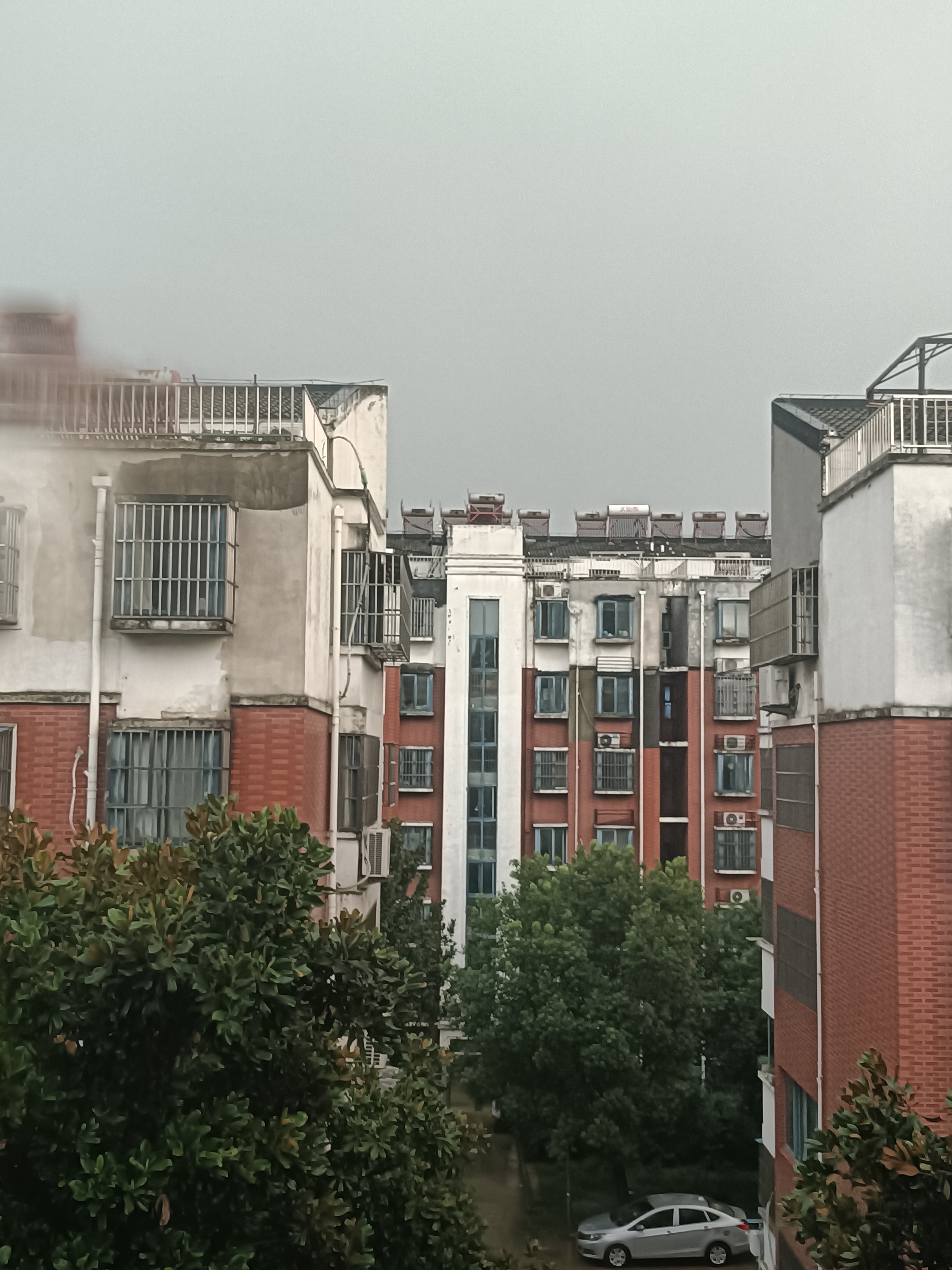 Rain City Image M